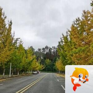 纳兰＿🎤V娱热点