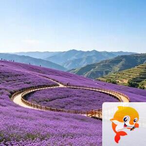 ༻҉如萱༺[阳阳教程团队]
