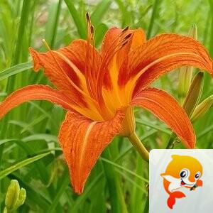 ྅爱ོℒฺℴฺ自νℯฺ己ོ༉