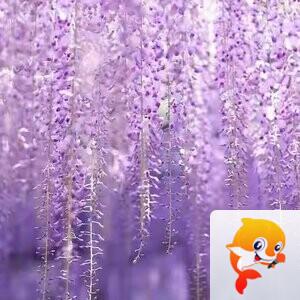 水云间