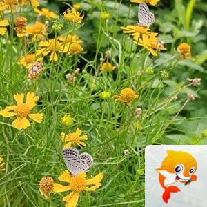 纳兰＿🎤V娱热点