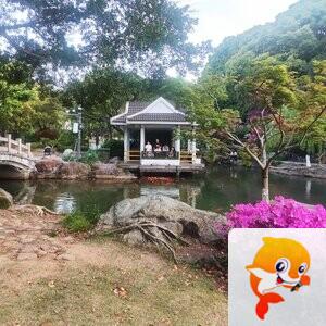 甌越耕耘者【爱花家园】