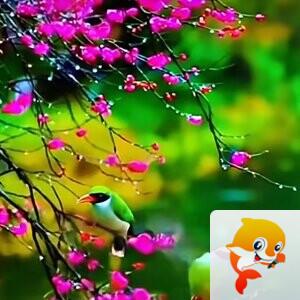 徐业君
