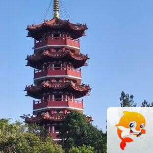 杏玫