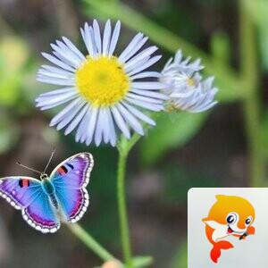 纳兰＿🎤V娱热点