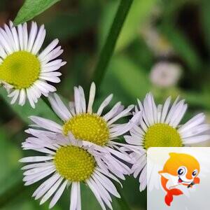 小不点✨别问我是谁   ‮♡‭