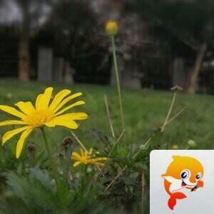 纳兰＿🎤V娱热点