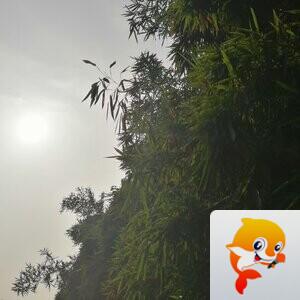 纳兰＿🎤V娱热点