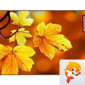 雪无垠【西窗剪烛】