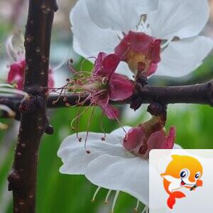 纳兰＿🎤V娱热点