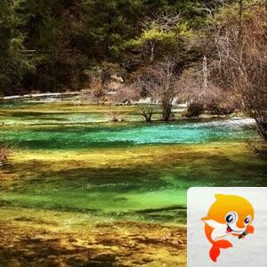 兔侠【文声汇影】