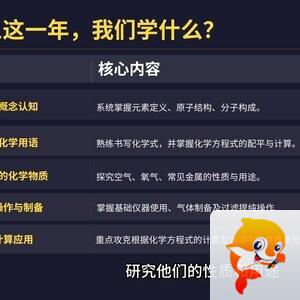 赵保军黑壳手机语数英理化