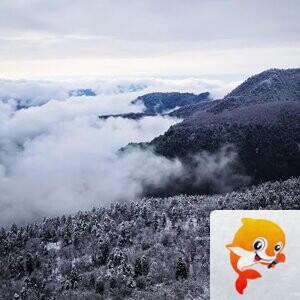 土魂竹韵【美摄视界】