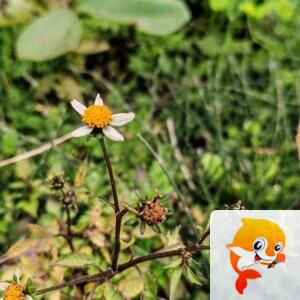 纳兰＿🎤V娱热点