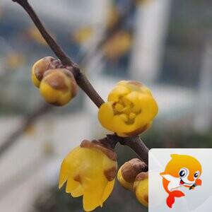 纳兰＿🎤V娱热点