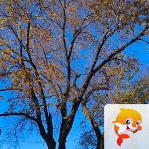 雪儿🎤V娱热点