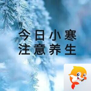 ༄࿆醉月࿐‮‮‮‮‮♡‭