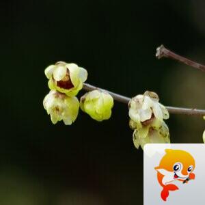 七月雨【美摄视界】 