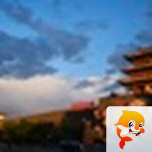 Phoenix【美摄视界】