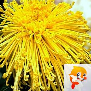 李忠祥  写生活的诗