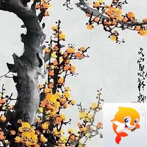 腊梅