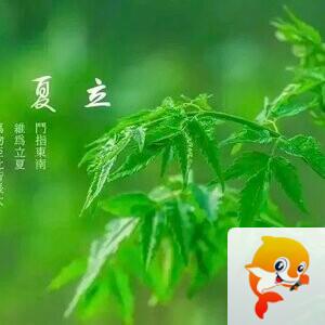 芦阳诗社