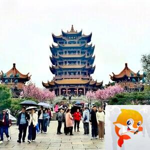 小草羚羊（半卷江南）