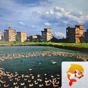 土魂竹韵【美摄视界】