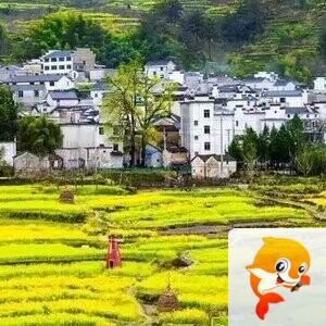 《华人文艺选刊》赵良田主编