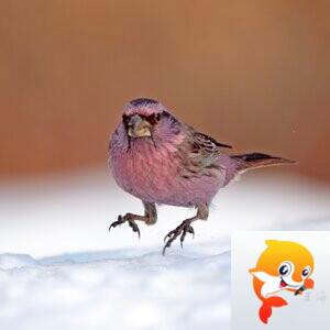 🇨🇳大海.水天一色