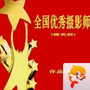 常青藤