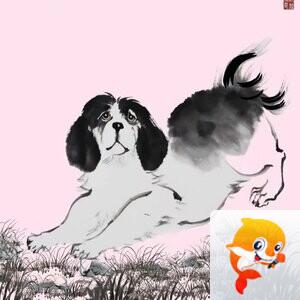 沈旋
