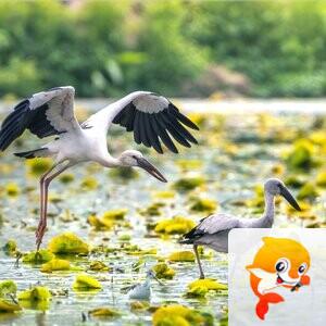 姹紫嫣红【美摄视界】