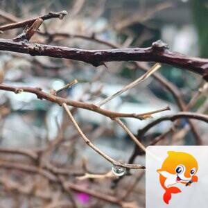 纳兰＿🎤V娱热点