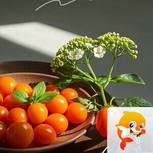 🌹🌹为爱相随3