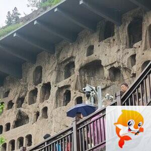 龙儿【爱花家园】
