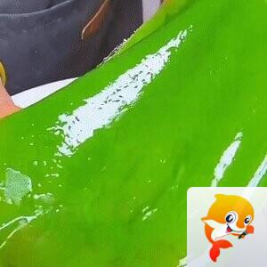 🍁金枝玉叶🍁歌房回礼