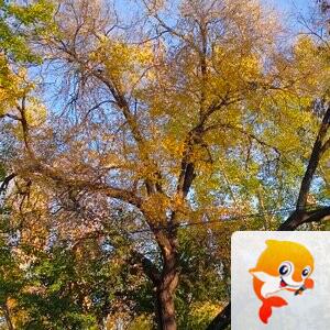 雪儿🎤V娱热点