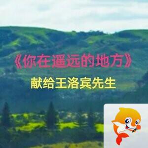 张扬辰