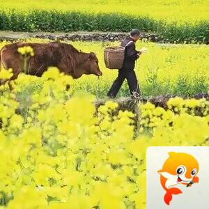 西光散人