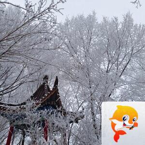 雪儿🎤V娱热点