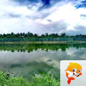 独狼【美摄视界】