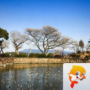 青青【美摄视界】