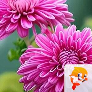 秦之声九州社快乐健康