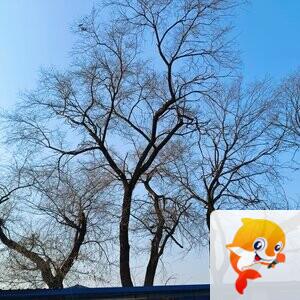 雪儿🎤V娱热点