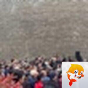 【秦艺缘】主持部长🌹水莲花