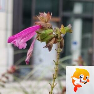 纳兰＿🎤V娱热点