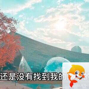 朗悦