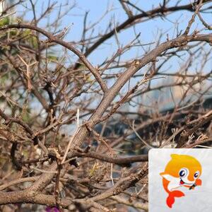 纳兰＿🎤V娱热点