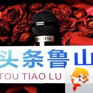 中华风彩最美乡村